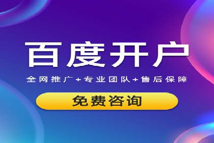某SEM主管的跨平台广告投放策略与成果